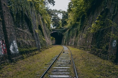 The Hidden Cost of an Untended ServiceNow Platform