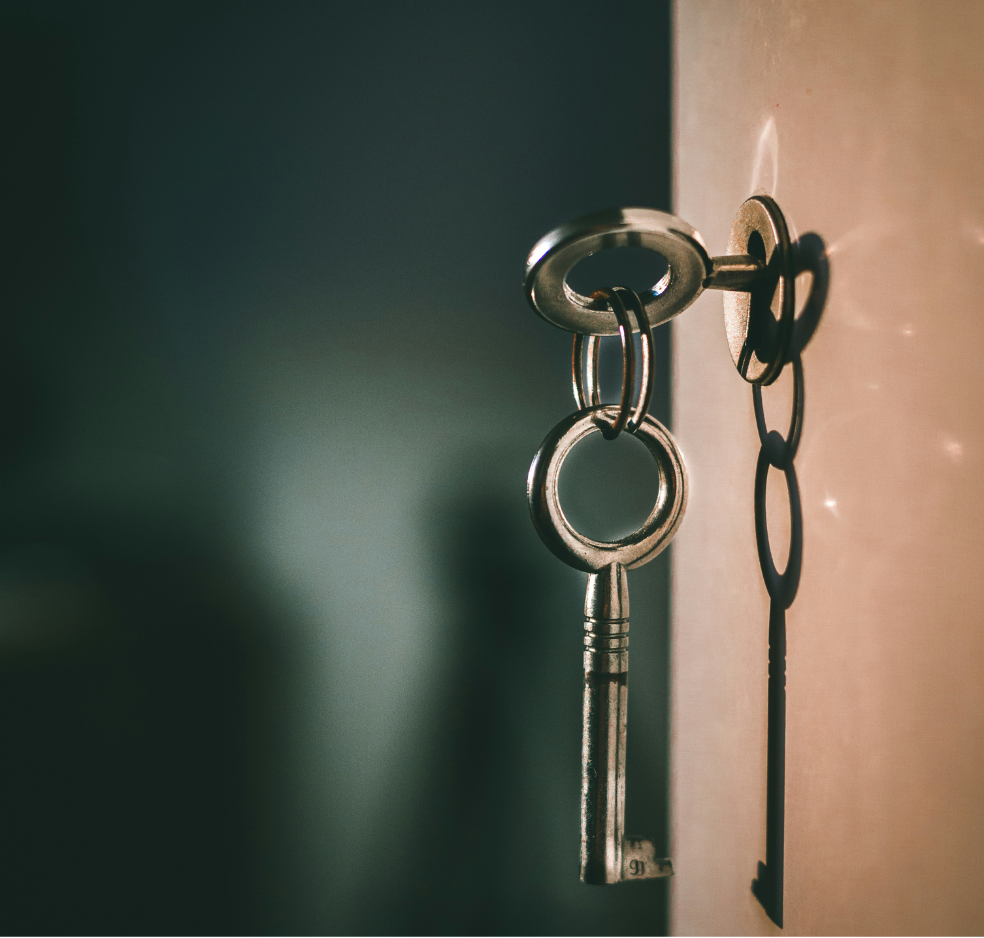 Platform Integrations - Security and governance