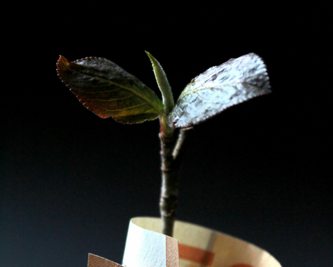 SPM CoreX Website Image 2