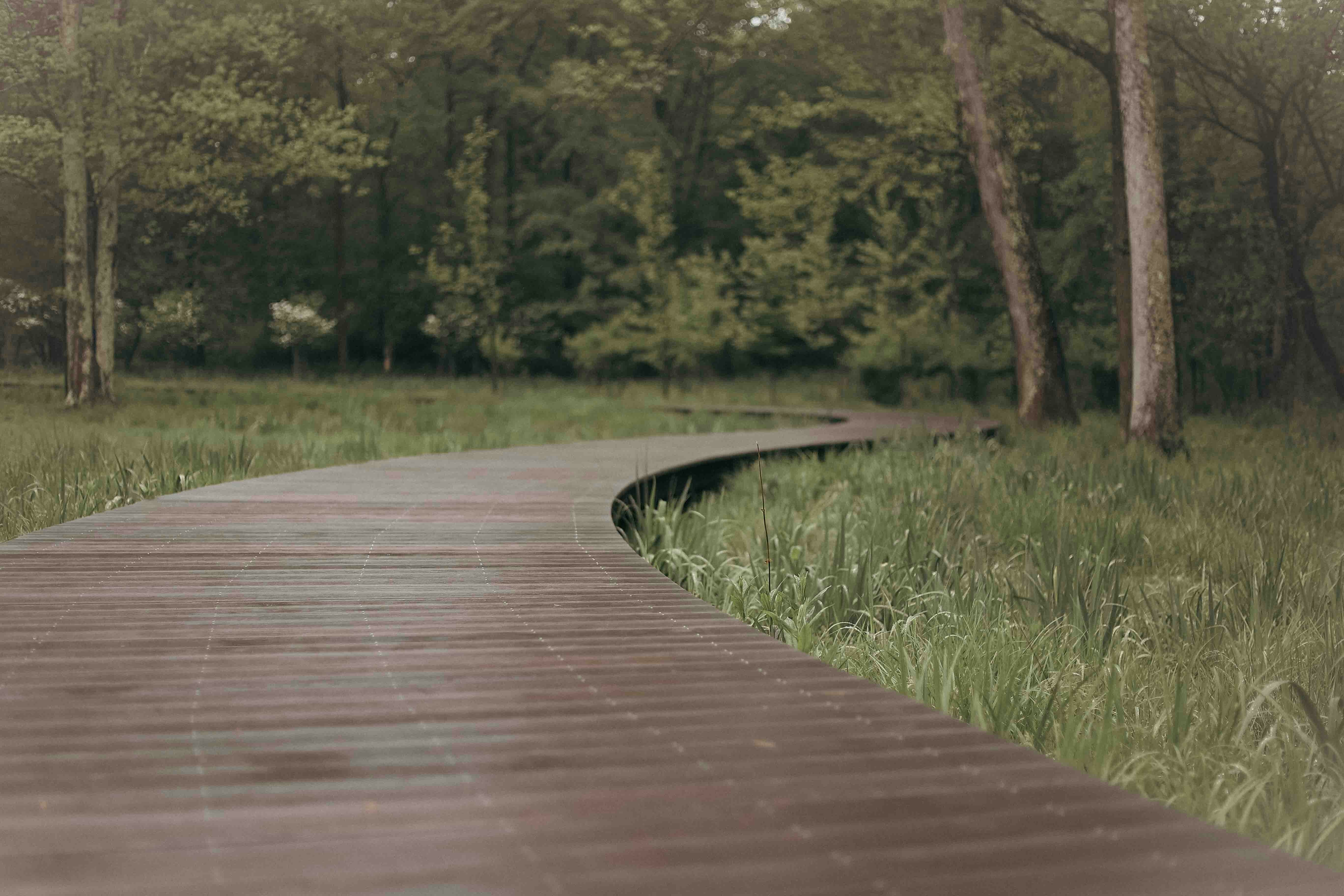 The Path Ahead: 7 trends reshaping finance, procurement, and supply chain